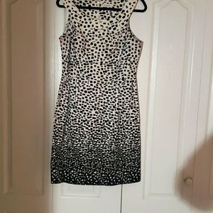 Calvin Klein dress size 12